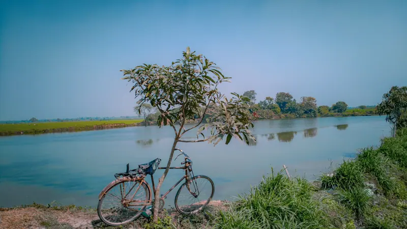 গ্রামের শান্ত পুকুরপাড়ে ছোট একটি গাছে হেলান দিয়ে রাখা পুরনো একটি সাইকেল