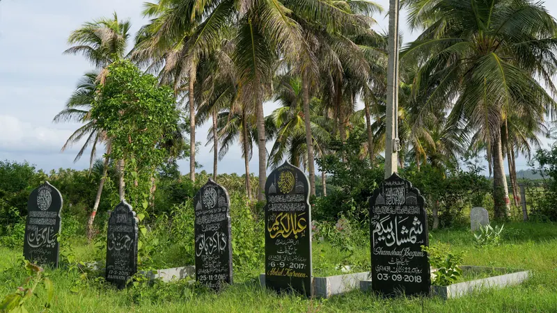 নারকেল গাছের ছায়ায় সবুজ ঘাসের মাঝে সারি সারি কালো পাথরের কবরফলক