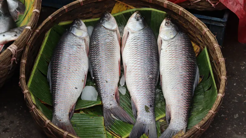 কলাপাতা বিছানো ঝুড়িতে সাজানো কয়েকটি তাজা রুই মাছ