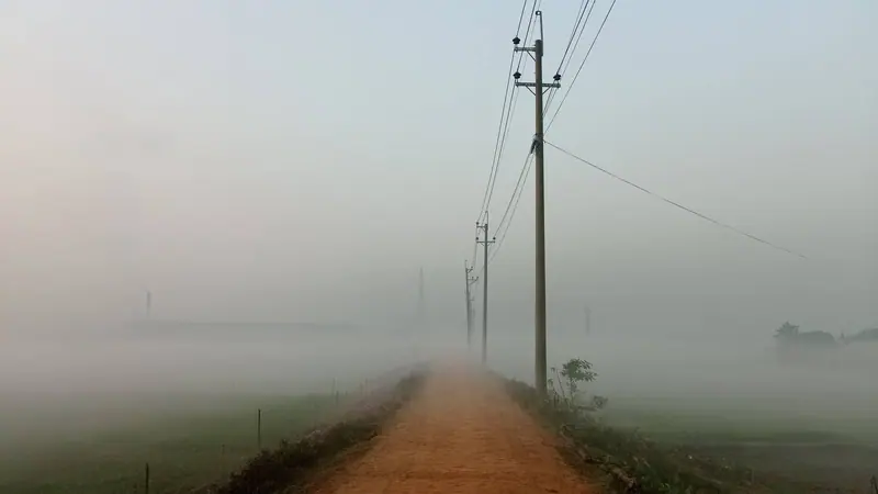 ঘন কুয়াশায় মিলিয়ে যাওয়া গ্রামের মেঠোপথ আর বিদ্যুতের খুঁটি