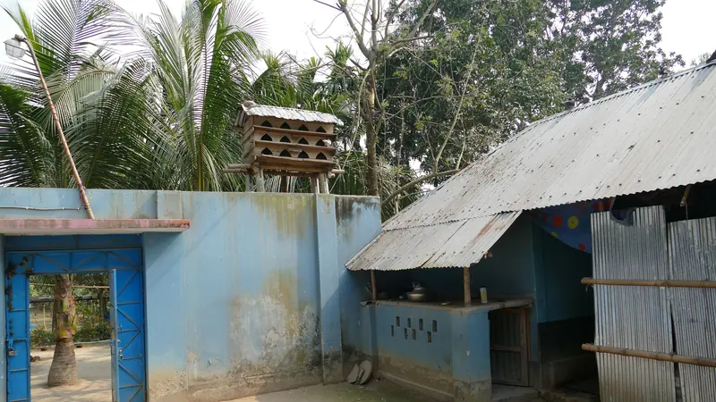 নারকেল গাছের ছায়ায় টিনের চালের একটি গ্রামের বাড়ি
