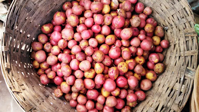 বাঁশের ঝুড়িতে রাখা অনেকগুলো লাল খোসার আলু