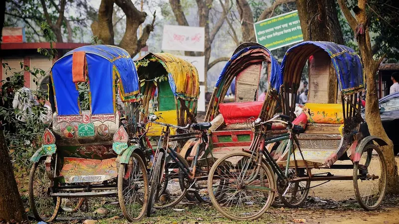 গাছের ছায়ায় সারি বেঁধে দাঁড়িয়ে থাকা রঙিন হুডওয়ালা কয়েকটি রিকশা