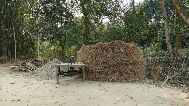 গ্রামের উঠোনে গাছের ছায়ায় স্তূপ করে রাখা খড়ের গাদা